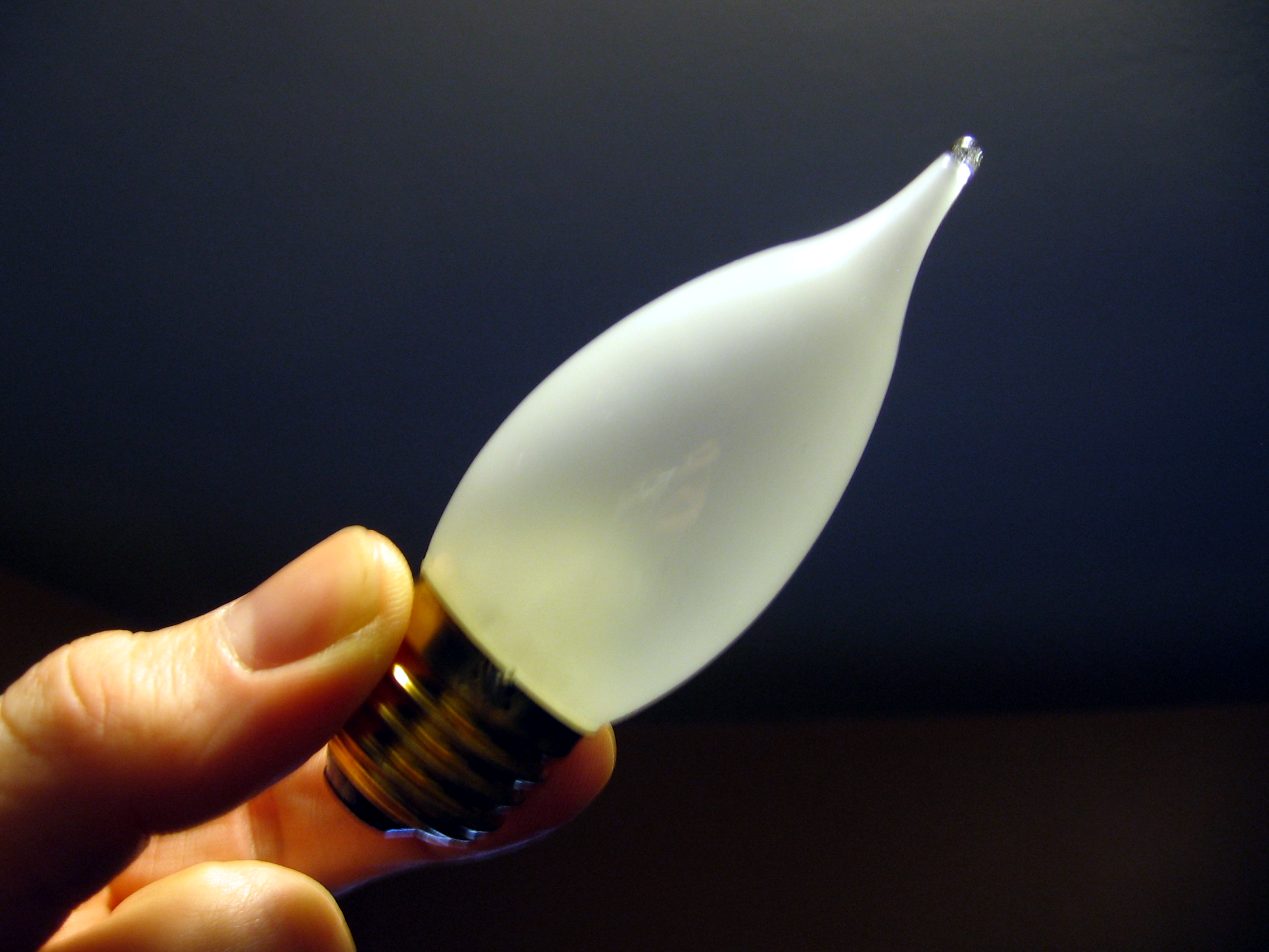 Preview: I’ve got big plans for this little bulb